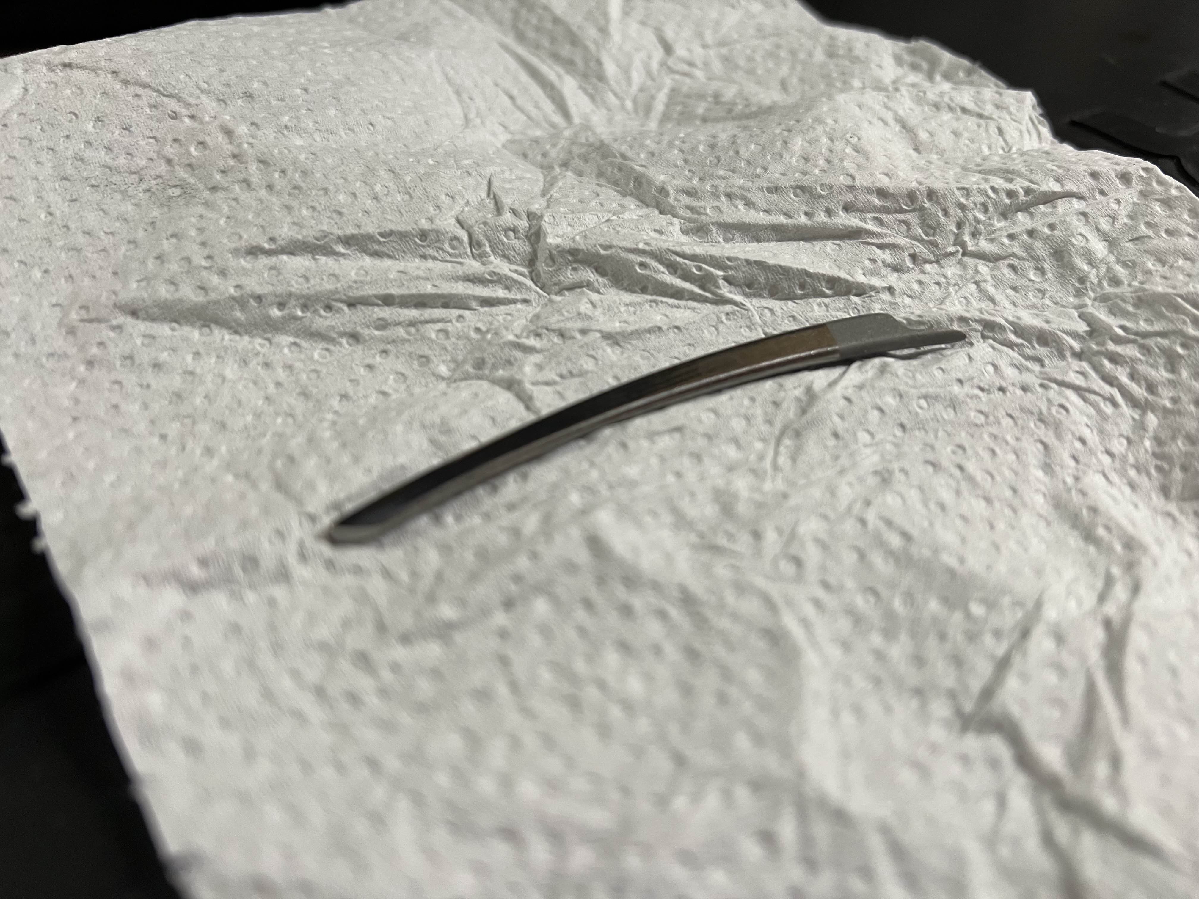 Prosthetic Beak for bird